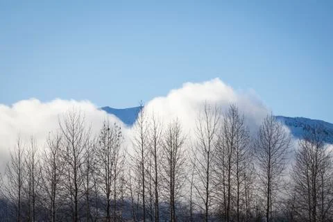 Fog rising in winter Stock Photos
