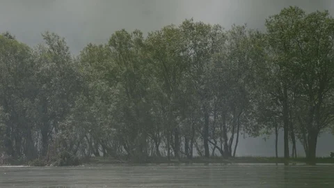 Fog on the river Bank, low clouds. Picturesque view of the beach among the trees Stock Footage 125454304