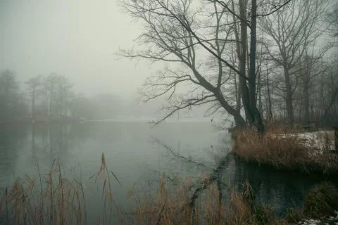 Fog on the river, cold temperature Stock Photos