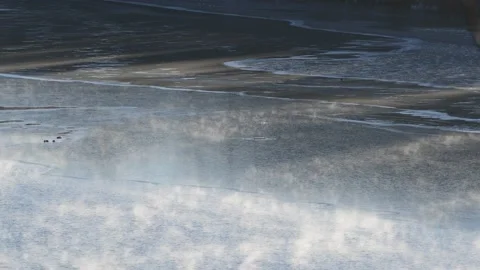 Fog at the river enns in upper austria on a very cold morning 库存影片 148498122