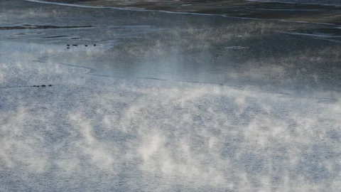 Fog at the river enns in upper austria on a very cold morning 库存影片 148498311