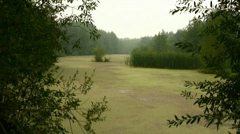 Fog on the river Stock Footage 857393