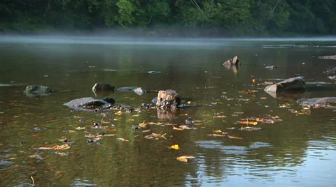 Fog on River Stock Footage 29242697