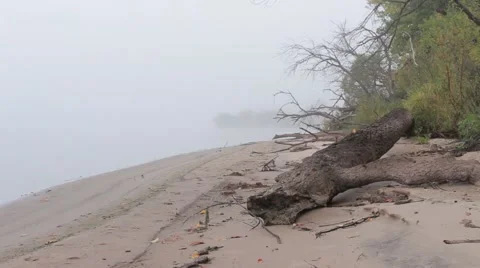 Fog on the river Stock Footage 45410867