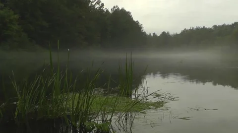 Fog on the river Stock Footage 45882671