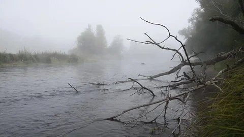 Fog on the river Stock Footage 80807190