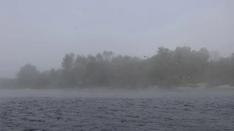 Fog on the river Video stock 80807780