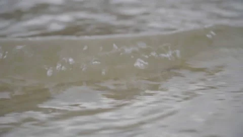 Fog on the river Stock Footage 144986754