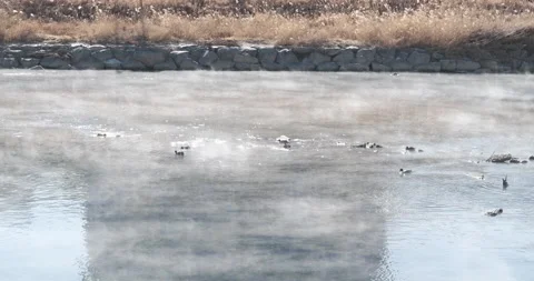 Fog on the river Video stock 234972222