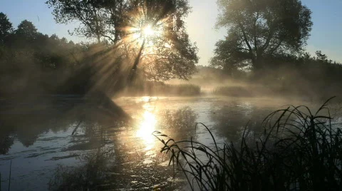 Fog, the river, landscape Stock Footage 840891