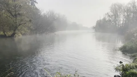 Fog on the river mitterwasser Stock Footage 166717708