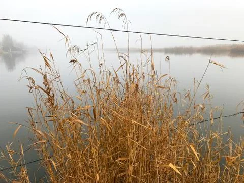 Fog on the river. Stock Photos