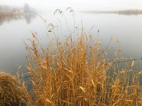 Fog on the river. Stock Photos