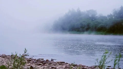 Fog on a river in summer morning Stock Footage 70152020