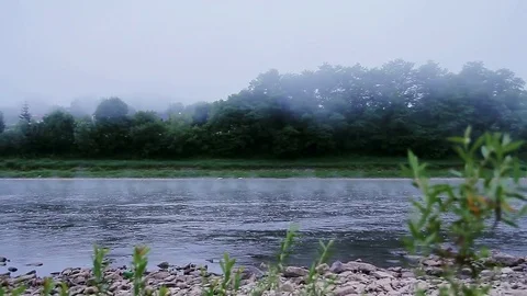 Fog on a river in summer morning Stock Footage 70152149