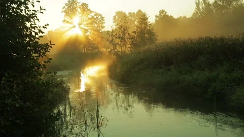Fog on the river at sunrise. Stock Footage 94184525