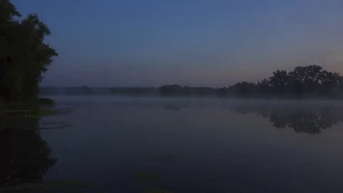 Fog At the River Before Sunrise In Summer Stock Footage 115598221