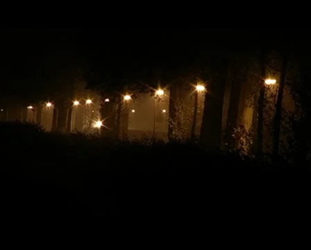 Fog road Stock Footage 7749726