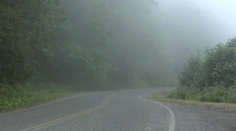 Fog on the Road through a Forest along the 101 Highway in Oregon Stock Footage 38602426