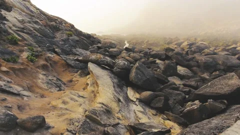 FOG IN THE ROCKS Stock Footage 94232244