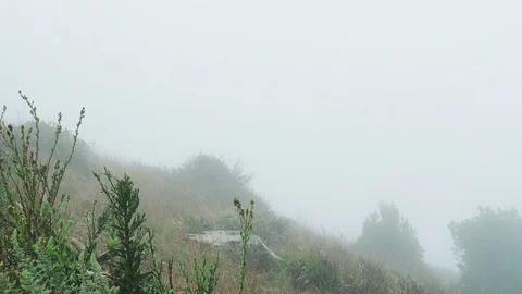 Fog rolling and obscuring view in grassy, hill lands area of nature Stock Footage 95215263