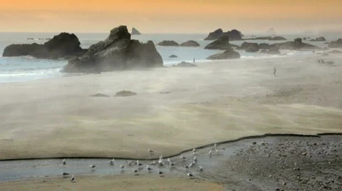 Fog rolling in at the beach 1-Big Web 스톡 동영상 810764