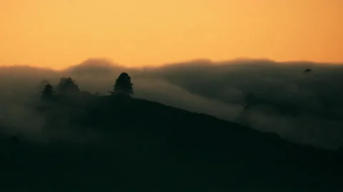 Fog Rolling In at Dusk Over The Santa Cruz Mountains in Time-lapse Stock Footage 231540098