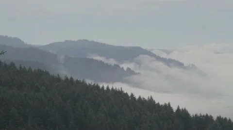 The Fog is Rolling in. Video stock 12116837
