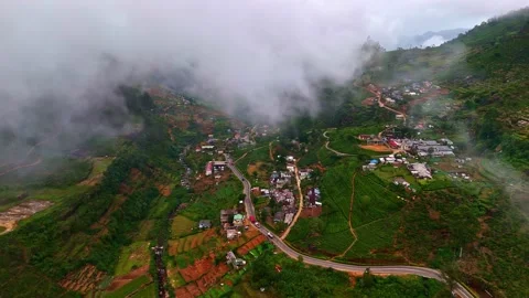 Fog Rolling Over Dambro Tea Estate Village in Sri Lankan Hill Country Stock Footage 337244958
