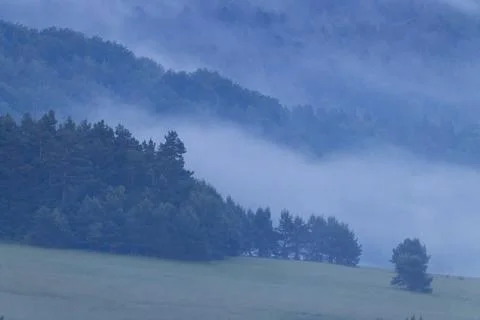 Fog rolling over layers of trees and hills at dawn Stock Photos