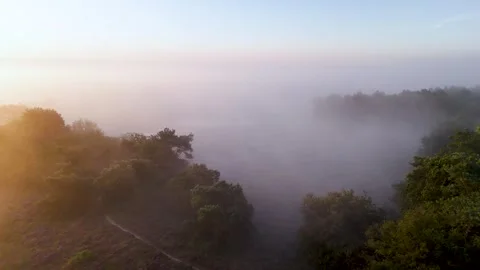 Fog rolling over lush green forest at sunrise Stock Footage 315339932