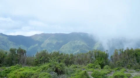Fog rolling over lush green mountain landscape Видео 333696235