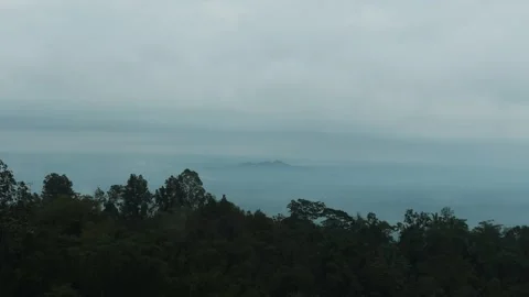 Fog rolling over lush tropical forest canopy Stock Footage 307909266
