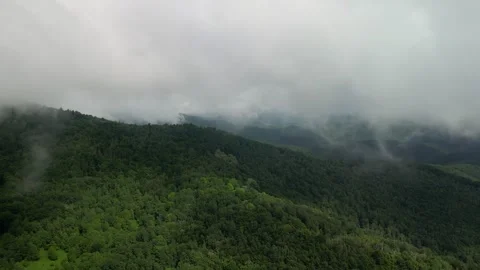 Fog Rolling Over Mountain Forest Landscape 2 Stock Footage 306225147