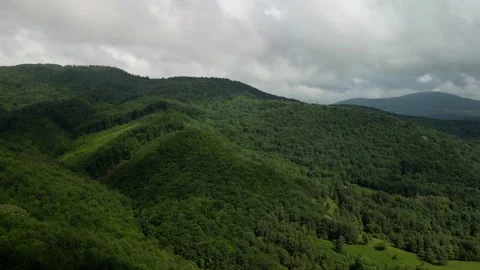 Fog Rolling Over Mountain Forest Landscape Stock Footage 306231913