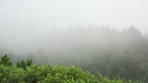 Fog rolling over mountain side Stock Footage 40521657