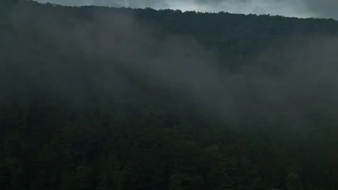 Fog rolling over a pine mountain Stock Footage 98678224