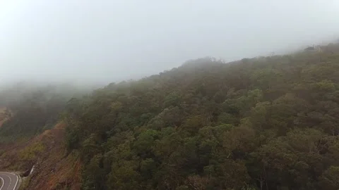 Fog rolling over rainforest in mountains. Stock Footage 168937847