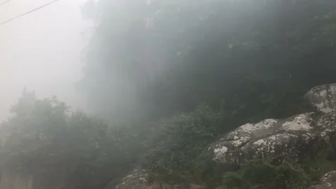 Fog rolling over a road in Sintra Stock Footage 155516403