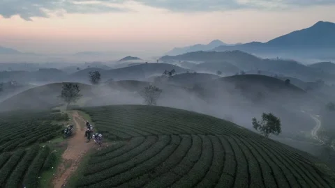 Fog rolling over tea hills, Tan Son Vietnam 動画素材 327830499