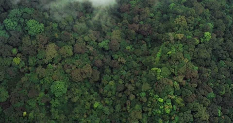 Fog Rolling Over Tropical Mountain Ridge in West Java Stock Footage 328930807