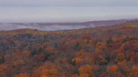 Fog Rolling Through Autumn Landscape Stock Footage 81222046