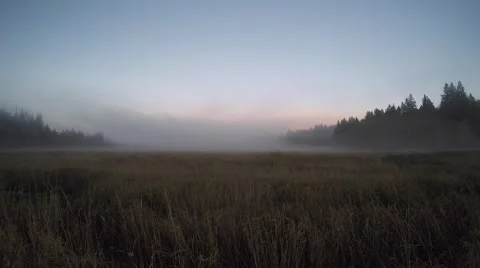 Fog Rolling Through a Field as the Moon Rises 库存影片 62493098