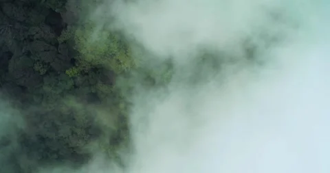Fog Rolling Through Tropical Valley Forest Stock Footage 329113796