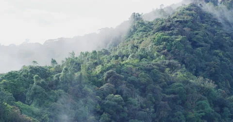 Fog Rolls in Fast At The Cameron Highlands, Malaysia Stock Footage 150835840