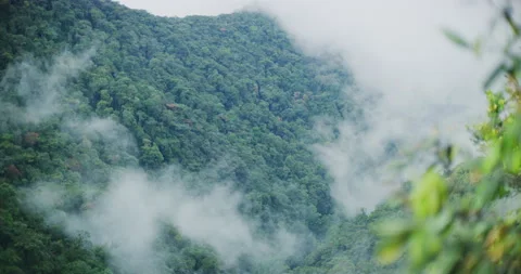 Fog Rolls in Fast At The Cameron Highlands, Malaysia Stock Footage 150839360