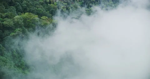Fog Rolls in Fast At The Cameron Highlands, Malaysia Stock Footage 150841618