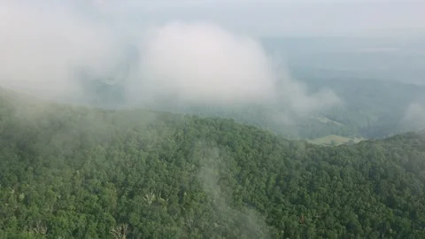 Fog rolls over lush green hills in morning light Stock Footage 320265036