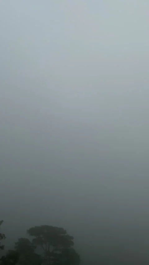 Fog Rolls Over Lush Mountain Landscape Stock Footage 277312287