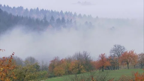 Fog rolls over an orchard meadow with brightly colored trees Stock Footage 283172298